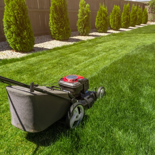 Lawn Mowing Services
